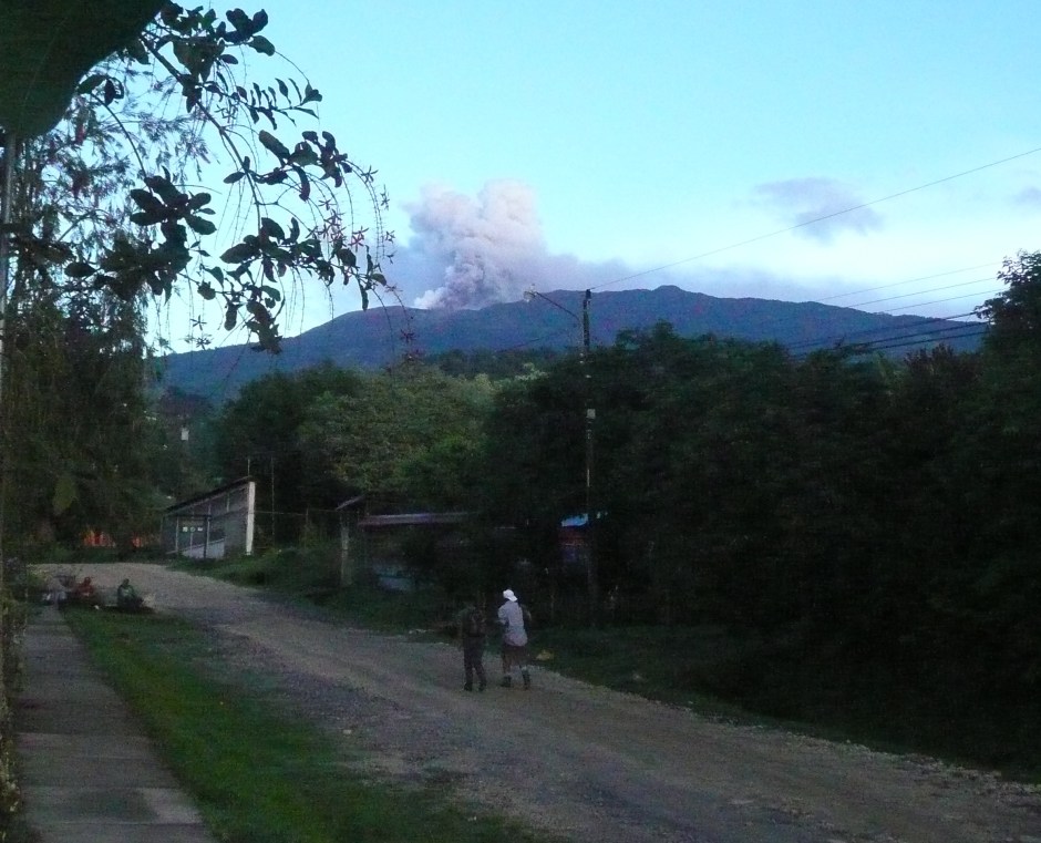 Early morning at our gateOct312014