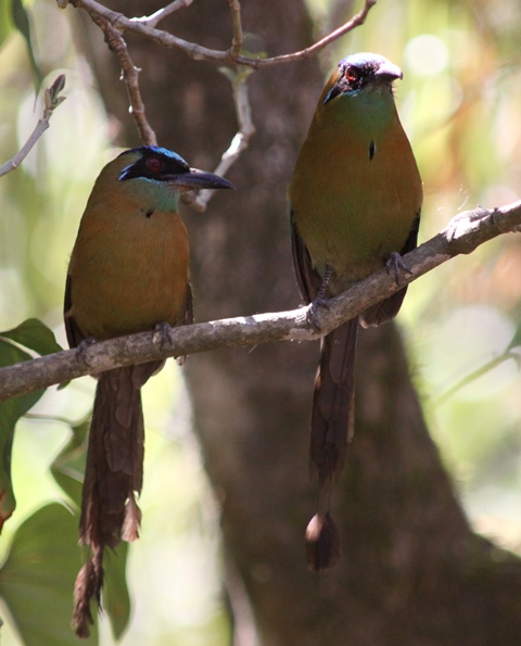 It Takes Two, baby!!