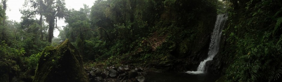 Just one of many beautiful sights on the trail