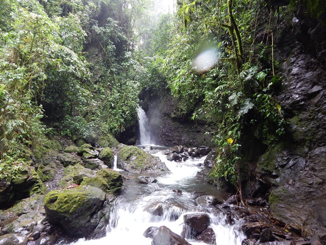 Great habitat for the American Dipper