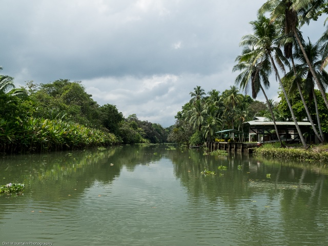 Wyprawa w drzunglę rzeką Rio Sierpe i Estero Azul