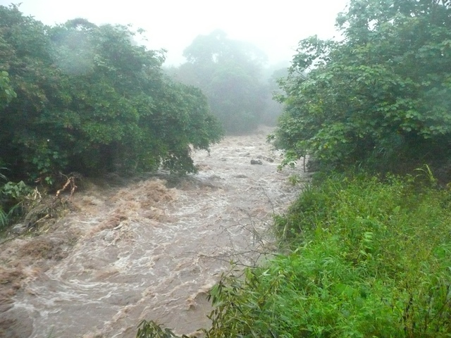 The Rio Guayabito, the "Little Guayabo", at San Antonio, looking downstream from the bridge