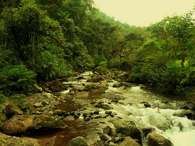 The Río Tuis joins the mighty Reventazón at the Presa Angostura