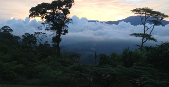 Beautiful view of the habitat above Pavones, courtesy of Torre Alta Lodge