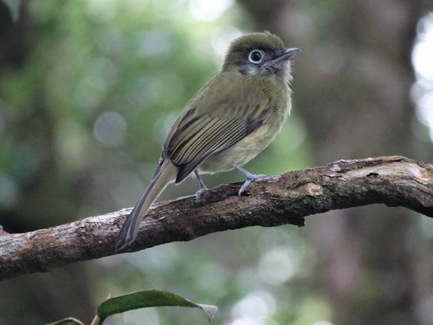 12079575_851307774985096_6170361658108407518_n