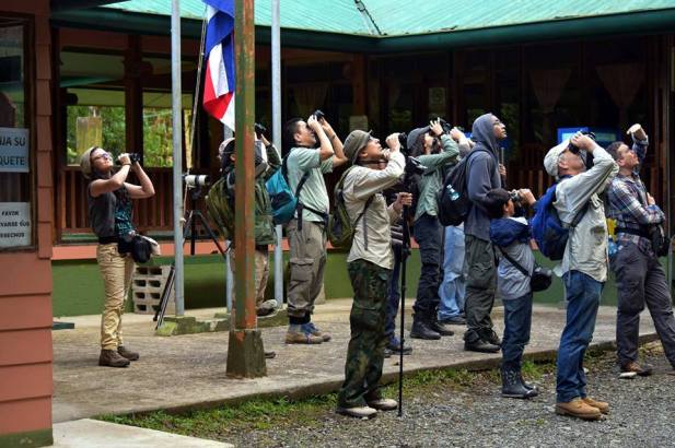 get-your-birds-group-photo-tapanti