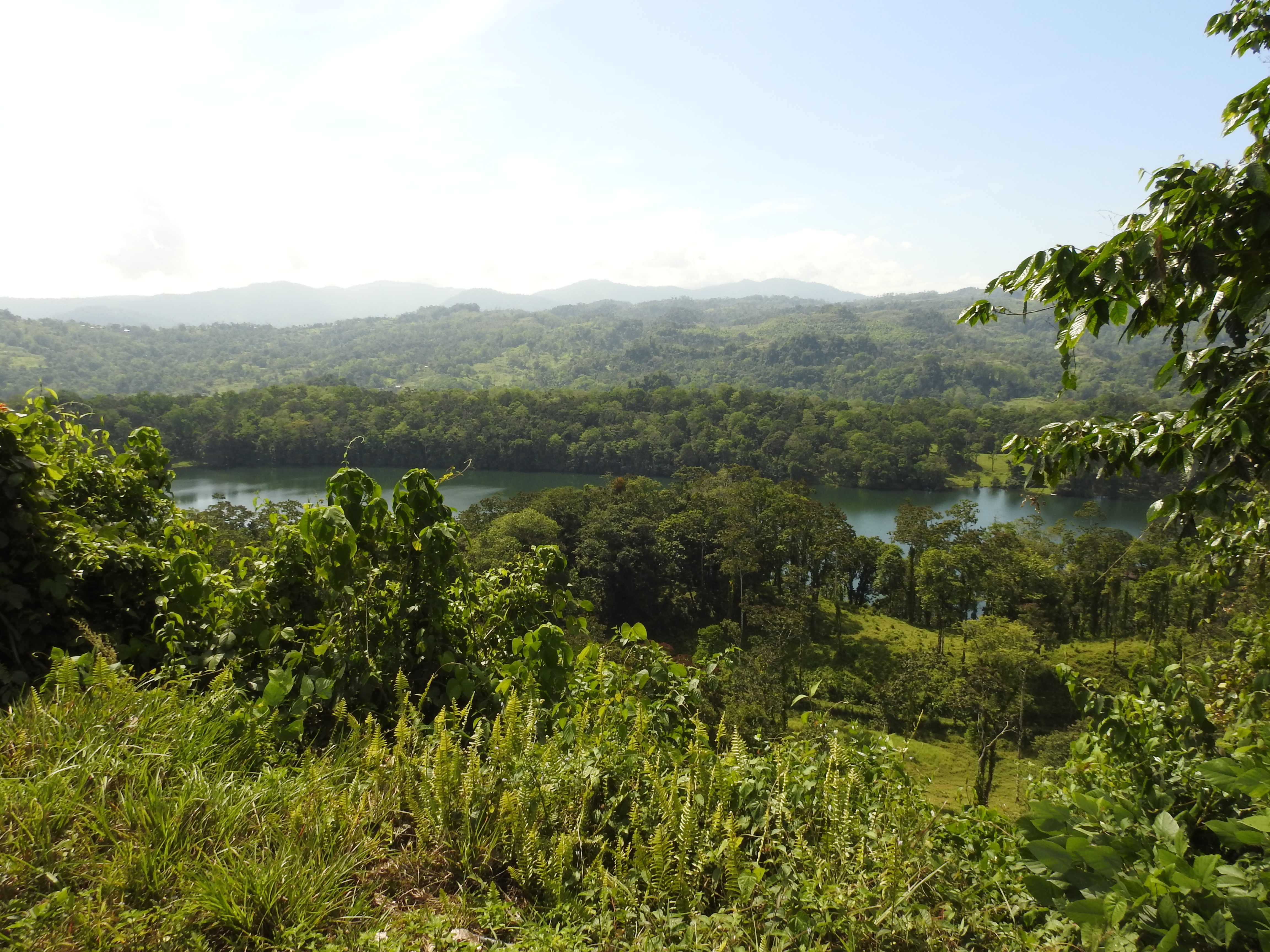 Bajos de Bonilla (1)