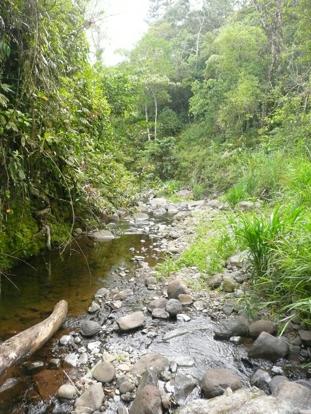 Quebrada La Loca at don Martin's