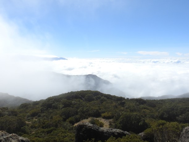 Cerro de la Muerte (6)