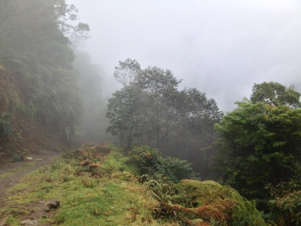 Road to Los Bajos del Volcan